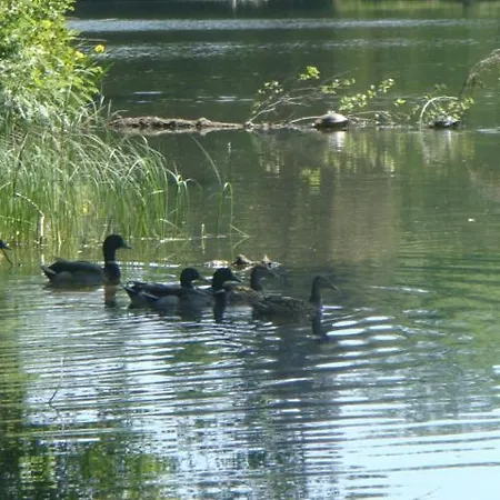 La Maison Du Hytte Cul-des-Sarts